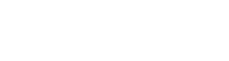 spineflex